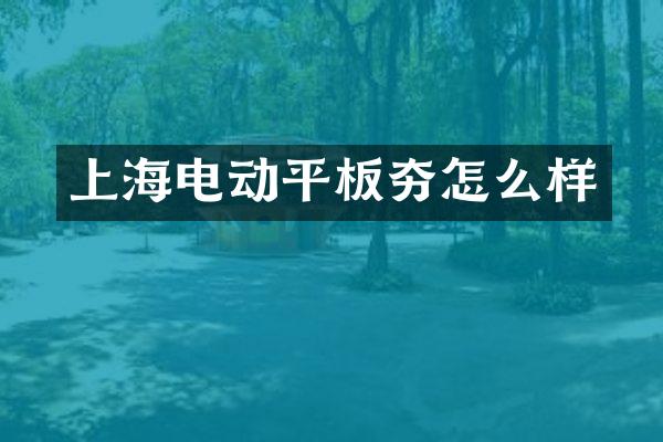 上海電動平板夯怎么樣