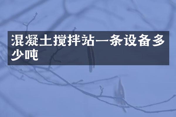 混凝土攪拌站一條設(shè)備多少噸