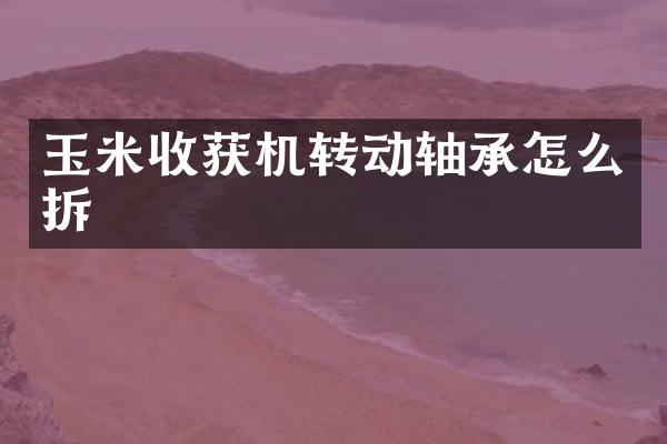 玉米收獲機(jī)轉(zhuǎn)動(dòng)軸承怎么拆