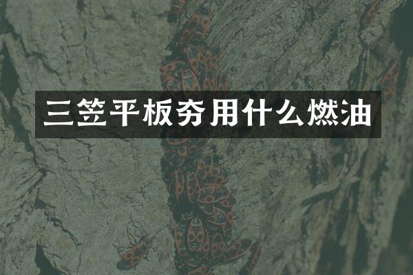 三笠平板夯用什么燃油