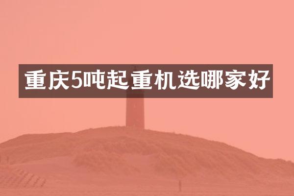 重慶5噸起重機選哪家好