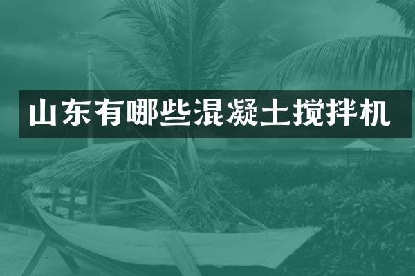 山東有哪些混凝土攪拌機(jī)