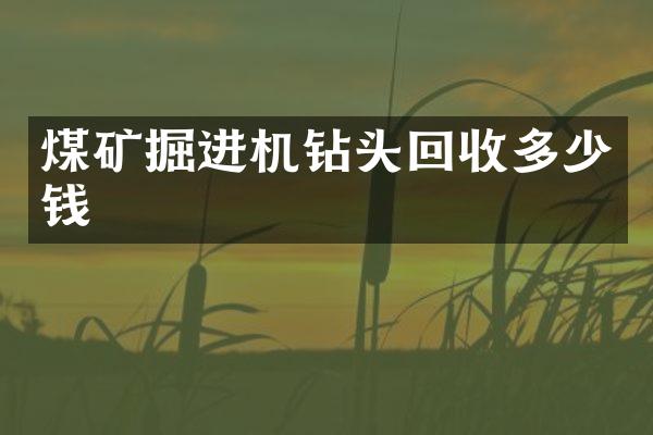 煤礦掘進(jìn)機(jī)鉆頭回收多少錢