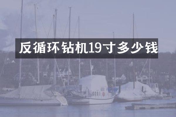 反循環(huán)鉆機(jī)19寸多少錢