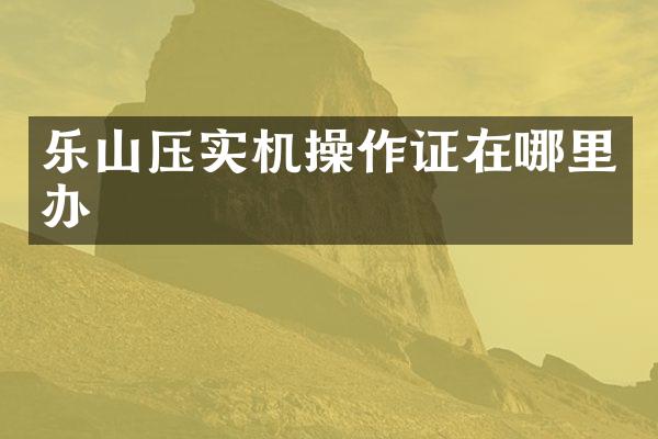 樂(lè)山壓實(shí)機(jī)操作證在哪里辦