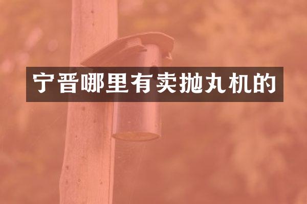 寧晉哪里有賣拋丸機的