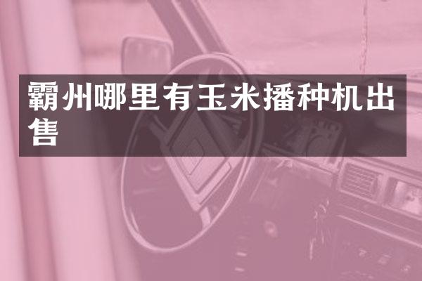 霸州哪里有玉米播種機(jī)出售