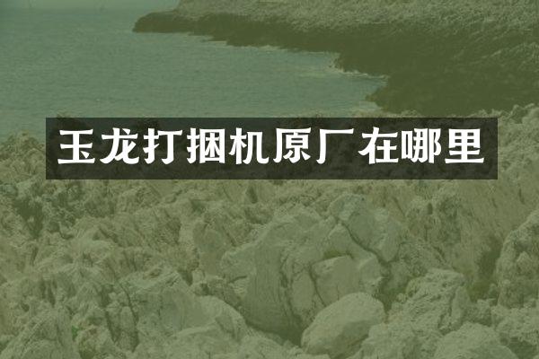 玉龍打捆機原廠在哪里