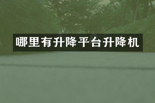 哪里有升降平臺升降機(jī)