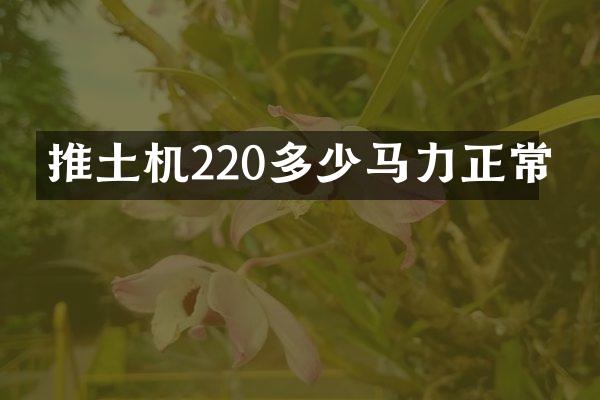 推土機(jī)220多少馬力正常