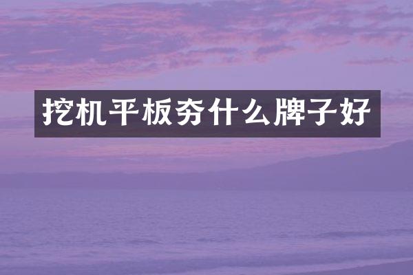 挖机平板夯什么牌子好