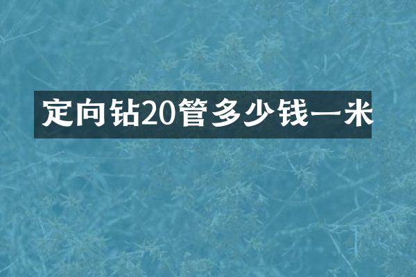 定向鉆20管多少錢一米