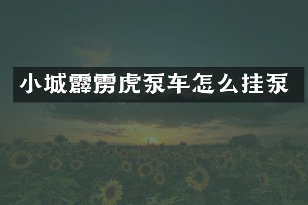 小城霹靂虎泵車怎么掛泵