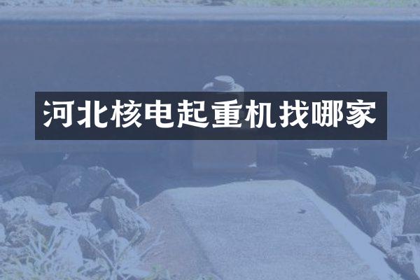 河北核電起重機找哪家