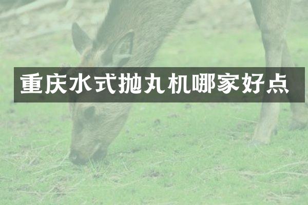重庆水式抛丸机哪家好点