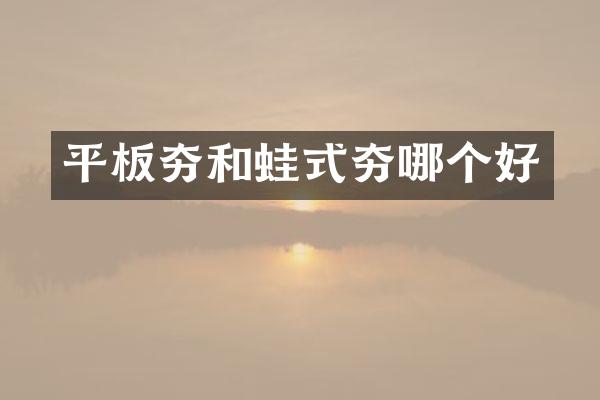 平板夯和蛙式夯哪個(gè)好