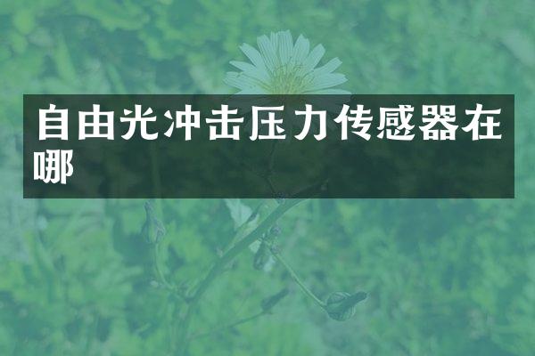 自由光沖擊壓力傳感器在哪