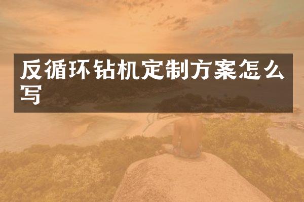 反循環(huán)鉆機(jī)定制方案怎么寫