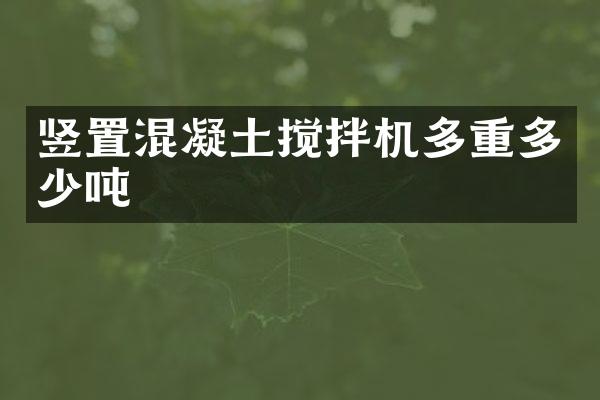 豎置混凝土攪拌機多重多少噸