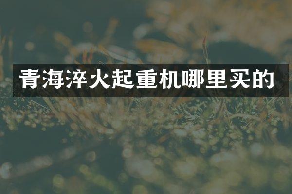 青海淬火起重機哪里買的