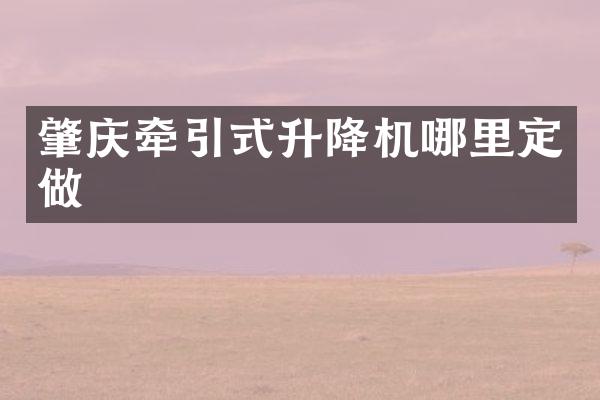 肇慶牽引式升降機(jī)哪里定做