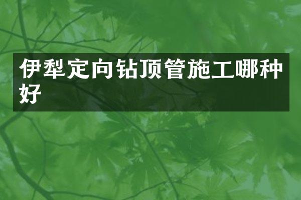 伊犁定向鉆頂管施工哪種好