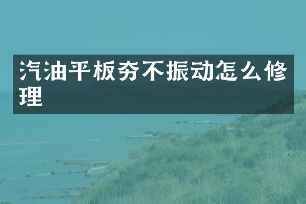 汽油平板夯不振動(dòng)怎么修理