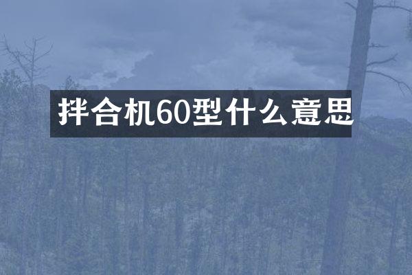 拌合機(jī)60型什么意思