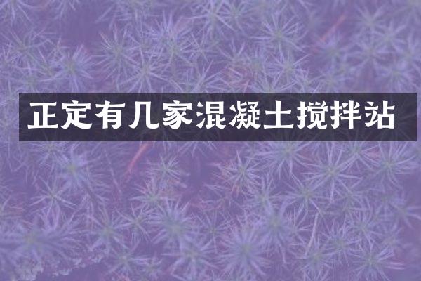 正定有幾家混凝土攪拌站