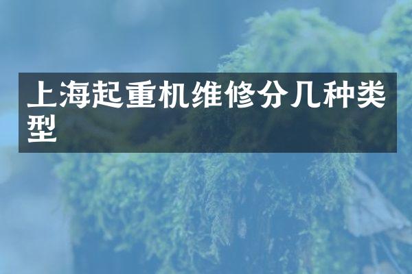 上海起重機維修分幾種類型