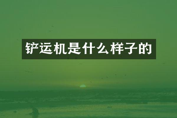 鏟運(yùn)機(jī)是什么樣子的