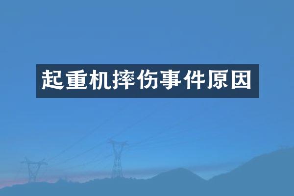 起重機(jī)摔傷事件原因