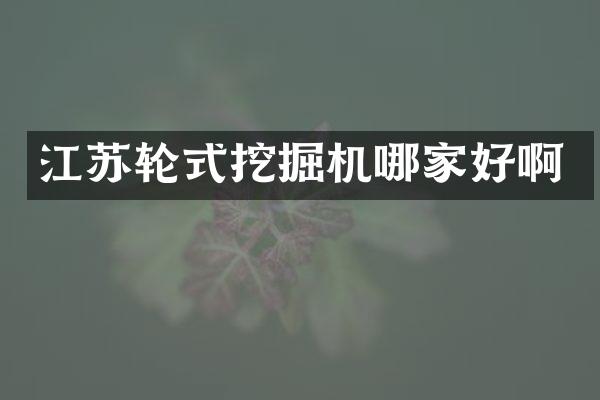 江蘇輪式挖掘機哪家好啊