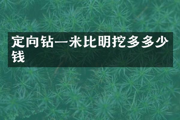 定向鉆一米比明挖多多少錢