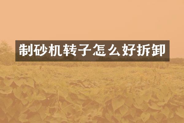 制砂機(jī)轉(zhuǎn)子怎么好拆卸