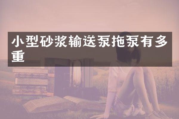 小型砂漿輸送泵拖泵有多重