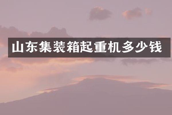 山東集裝箱起重機多少錢