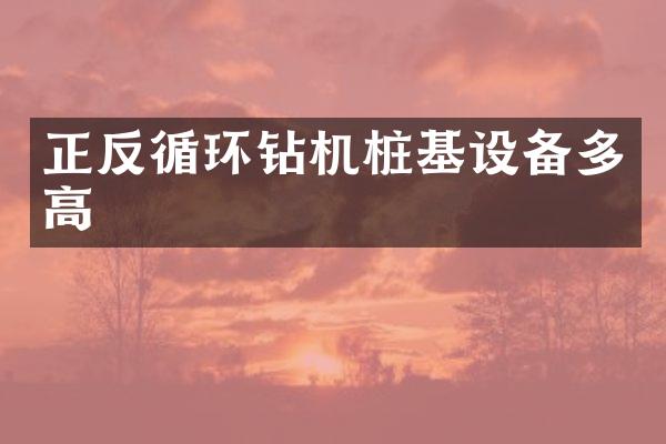 正反循環(huán)鉆機樁基設備多高