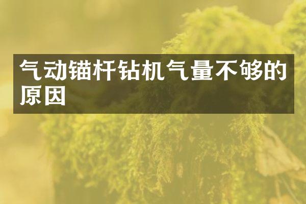 氣動錨桿鉆機氣量不夠的原因