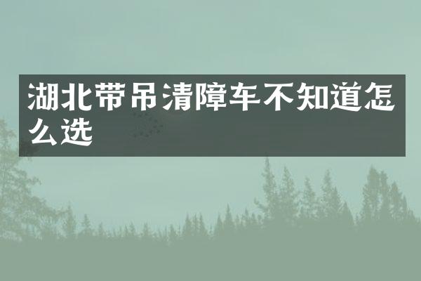 湖北帶吊清障車不知道怎么選