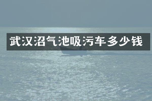 武漢沼氣池吸污車多少錢