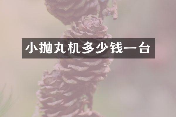 小拋丸機多少錢一臺