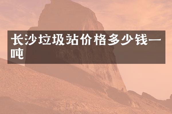 長(zhǎng)沙垃圾站價(jià)格多少錢(qián)一噸