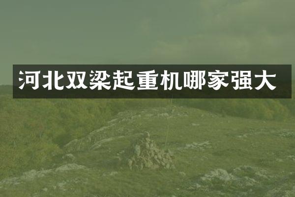 河北雙梁起重機(jī)哪家強(qiáng)大