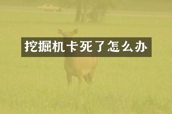 挖掘機卡死了怎么辦