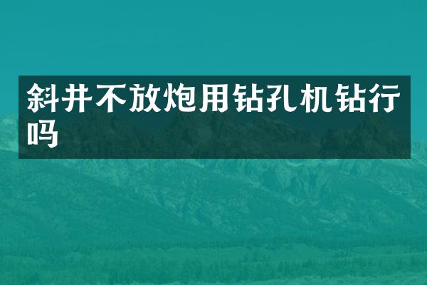 斜井不放炮用鉆孔機(jī)鉆行嗎