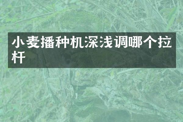 小麥播種機深淺調(diào)哪個拉桿