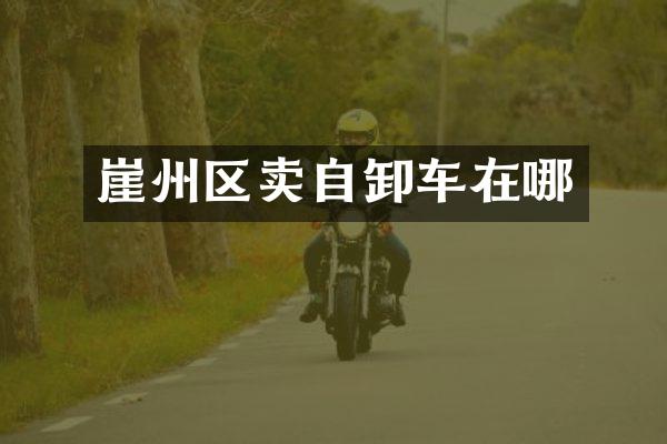 崖州區(qū)賣自卸車在哪