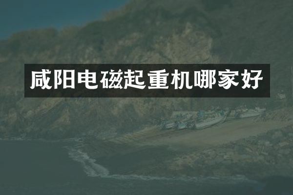 咸陽電磁起重機(jī)哪家好