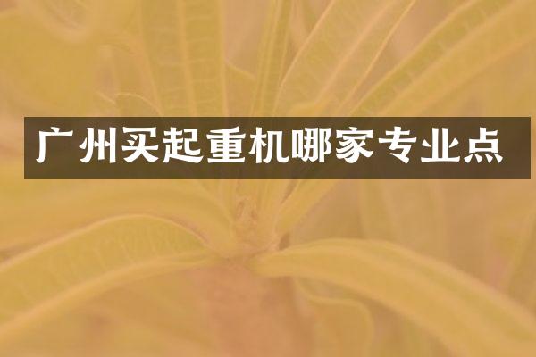 廣州買(mǎi)起重機(jī)哪家專(zhuān)業(yè)點(diǎn)